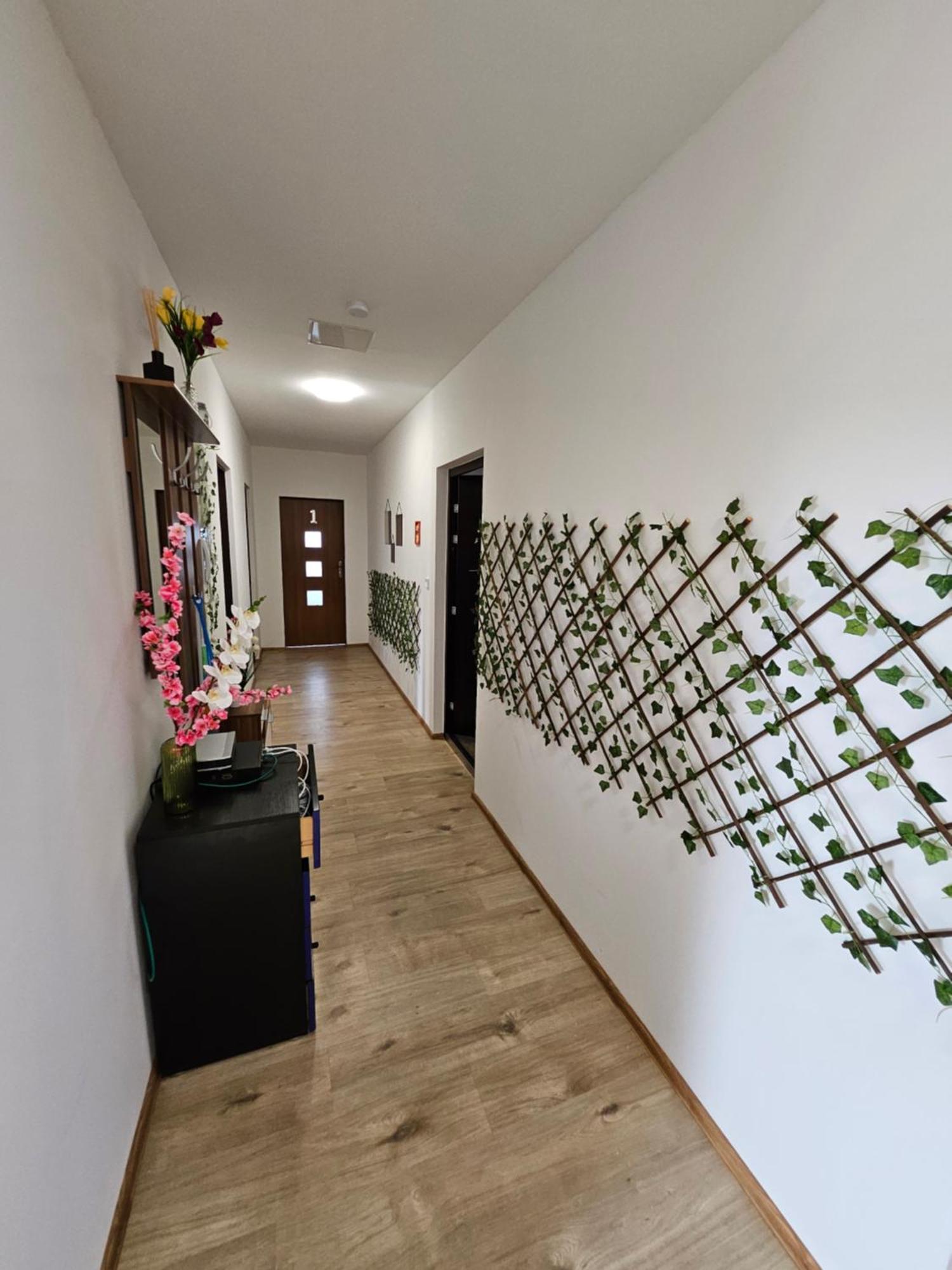 Wohngemeinschaft- Einzelne Zimmer Dresde Exterior foto